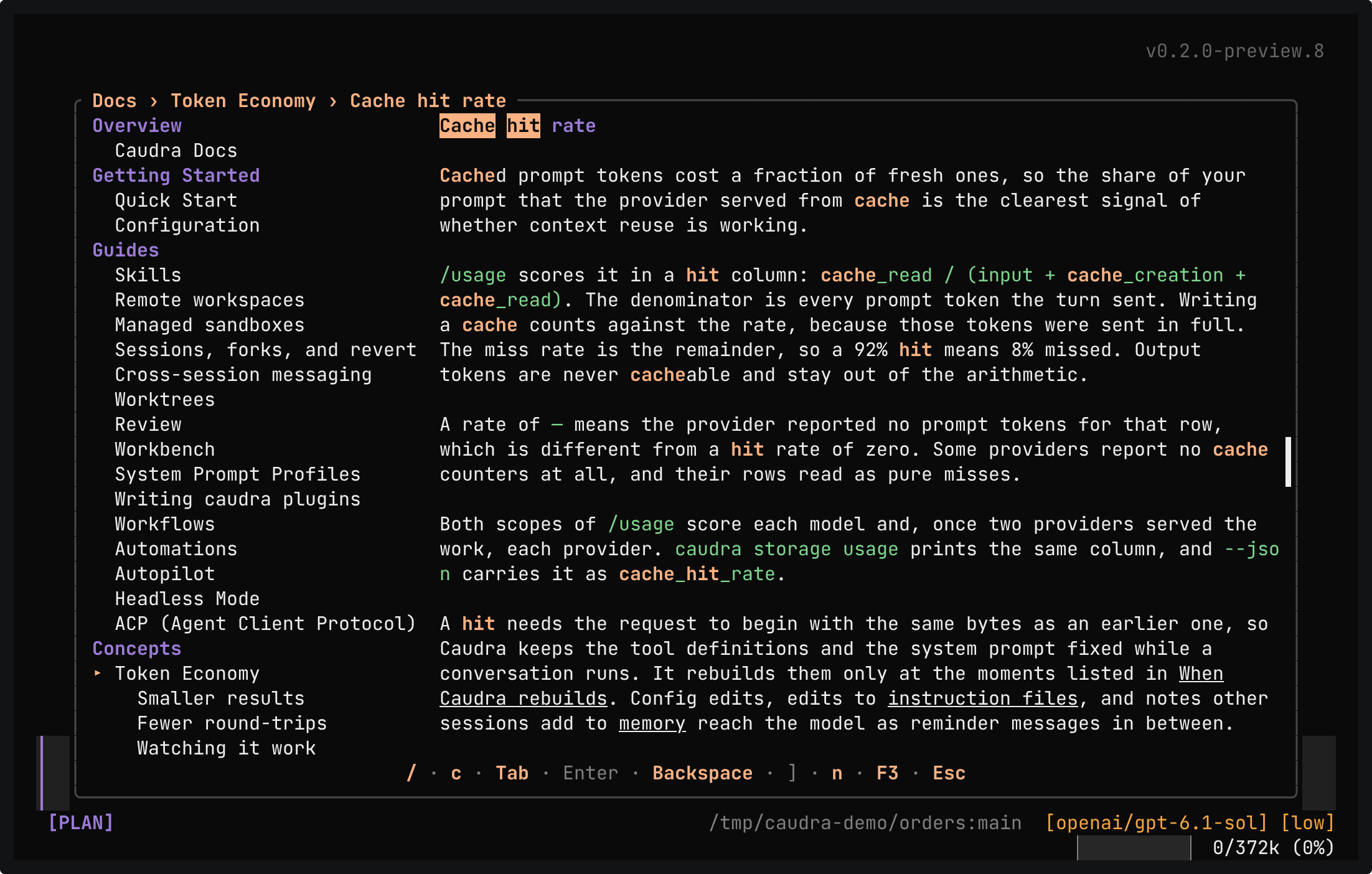 The Docs reader open at Token Economy, Cache hit rate. The contents list the guides and concepts on the left, and the section on the right explains how /usage scores the cache hit rate, with the search terms highlighted.